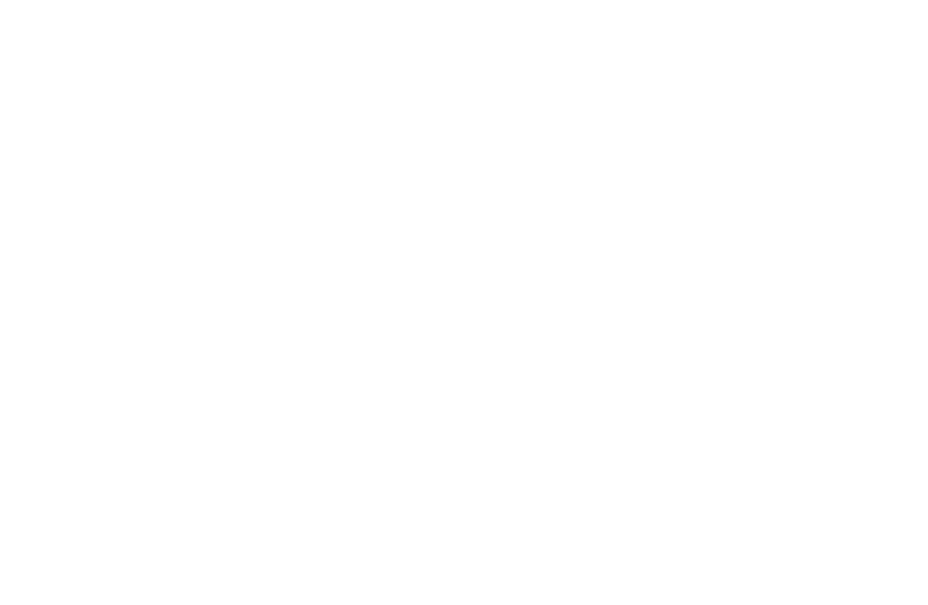 Logo_DataInter_BLANCO_PNG